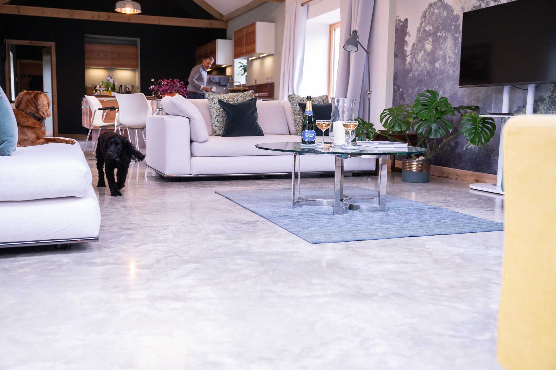 stylish stays whisper gill lo res 131