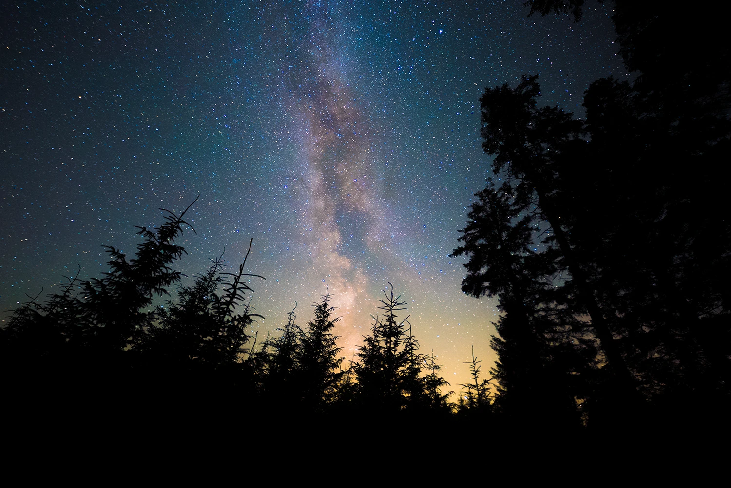 milky way over forest original 1120260