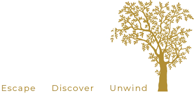 stylishstays 390 logo white